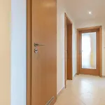 Spacious 3- With Two Terraces *