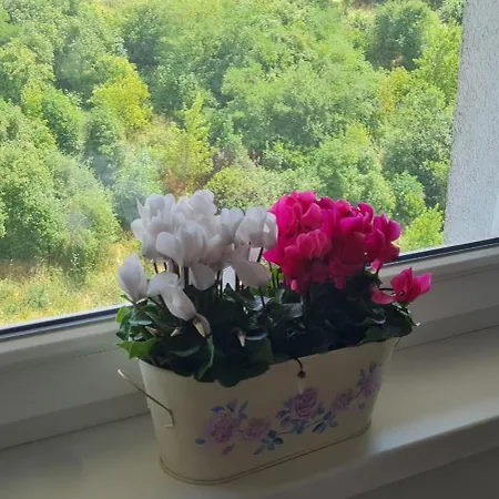 아파트 Prostorny 3 Pokojovy S Dvema Terasami *